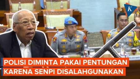 Alasan Anggota DPR Minta Polisi Ganti Senpi dengan Pentungan