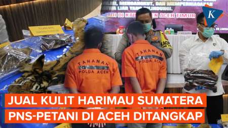 Jual Kulit Harimau Sumatera, PNS dan Petani di Aceh Ditangkap