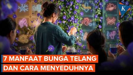 Manfaat Bunga Telang dan Efek Sampingnya