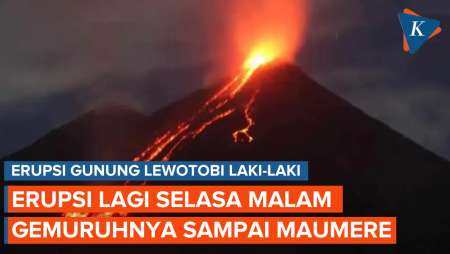 Gemuruh Erupsi Gunung Lewotobi Laki-Laki Terdengar sampai Maumere