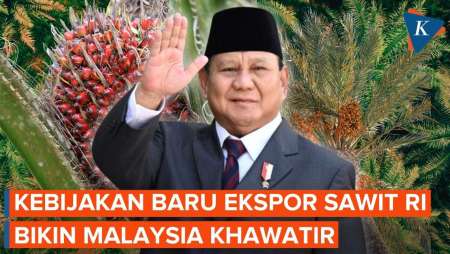 Malaysia Ketar-ketir, Kebijakan Baru Ekspor Sawit RI Dinilai Bisa Picu Gejolak Harga