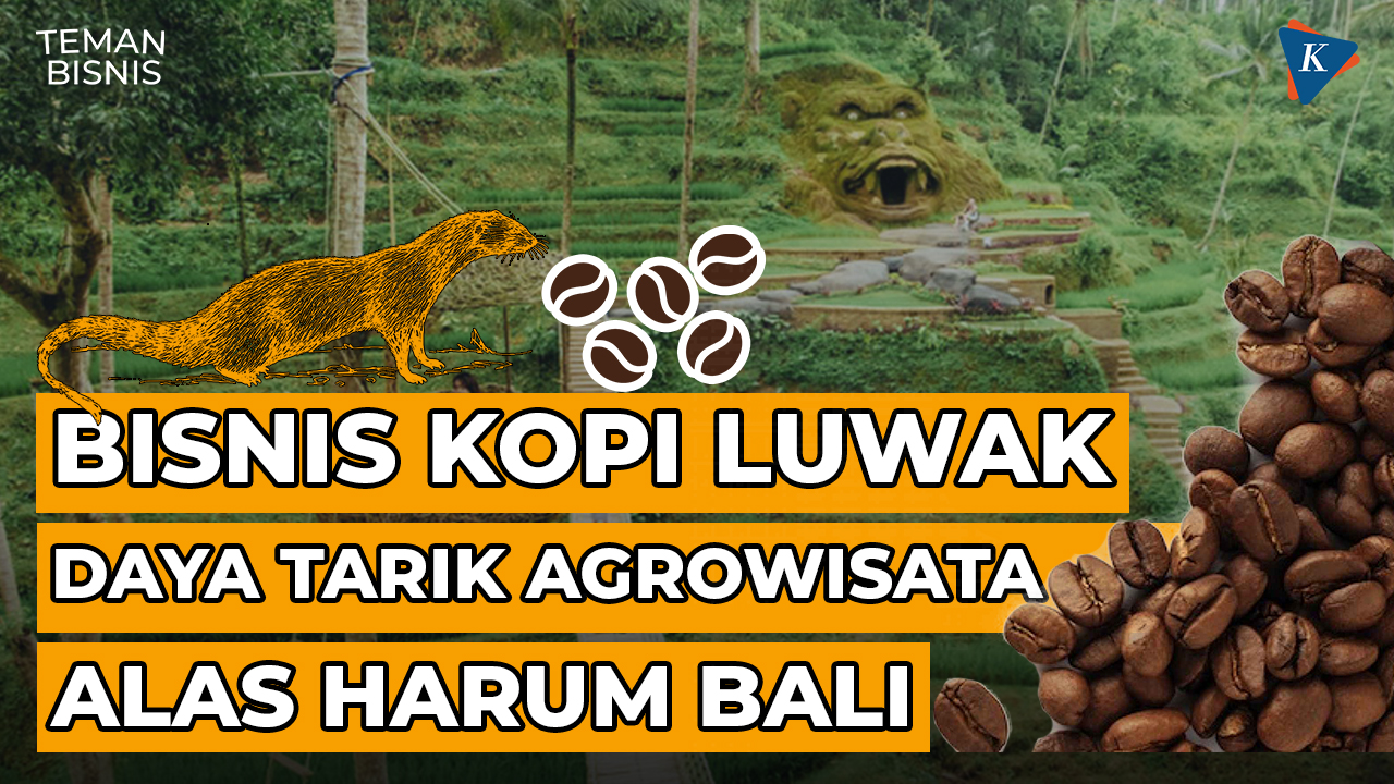 Menguak Bisnis Kopi Luwak di Alas Harum Bali | Fun Fact Teman Bisnis