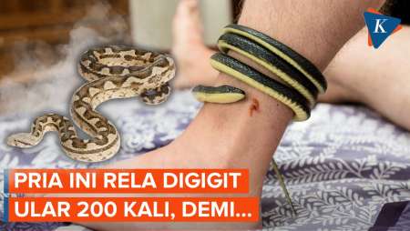 Sempat Koma, Pria Asal AS Rela Digigit Ular 200 Kali Untuk...