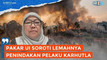 Karhutla Terus Berulang, Mengapa Tak Ada Efek Jera?