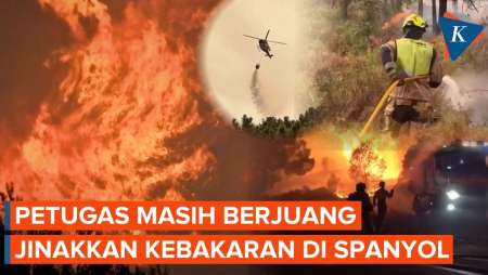 Spanyol Dikepung Api! 76.000 Warga Dievakuasi, Pemadam Berjuang Jinakkan Kebakaran