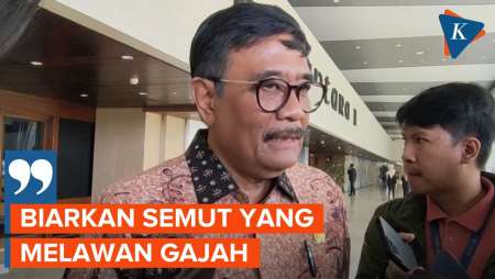 PDI-P Akan Bentuk Koalisi “Semut” untuk Lawan Koalisi “Gajah” Bobby Nasution di Pilkada Sumut