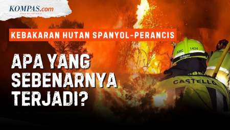 Eropa "Terbakar", Kenapa Kebakaran Hutan Di Spanyol Dan Perancis Begitu Mematikan?