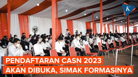 Ini Rincian Jumlah Formasi dan Alokasi Lowongan CASN 2023