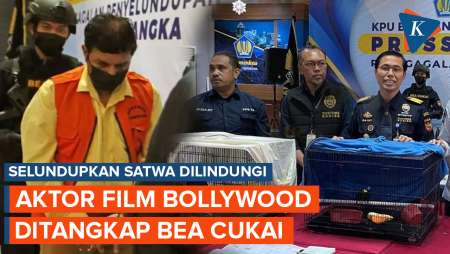 Kronologi Aktor Bollywood Ditangkap Bea Cukai Soetta, Ketahuan Bawa 3 Satwa