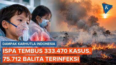 75.712 Balita Kena ISPA karena Karhutla Indonesia