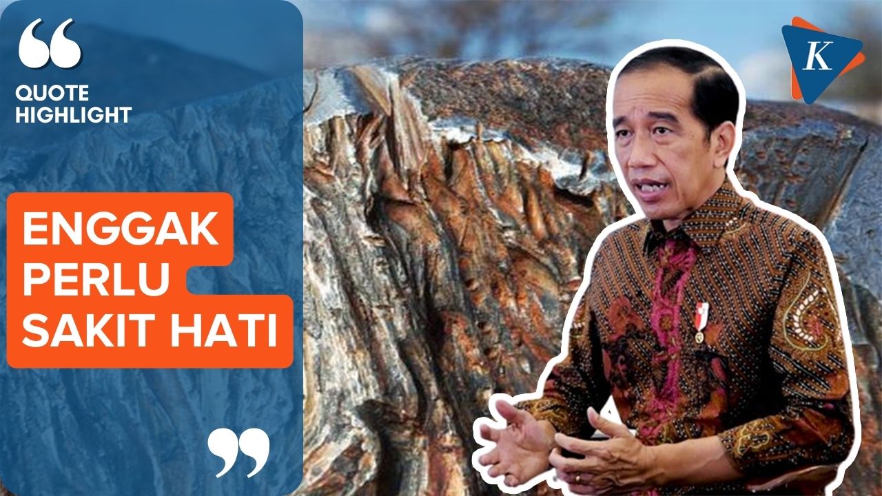 Kalah Digugat WTO Terkait Ekspor Nikel, Jokowi Sebut Indonesia Tak Perlu Sakit Hati