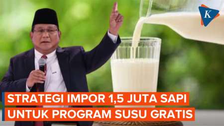 Prabowo Mau Impor 1,5 Juta Sapi Perah untuk Program Susu Gratis