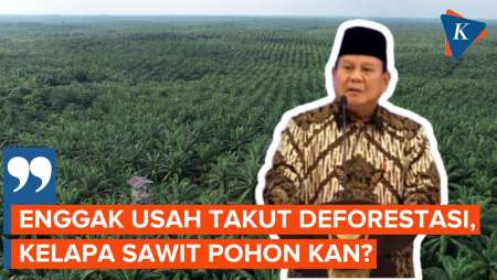 Prabowo Ingin Indonesia Tambah Lahan Sawit, Kenapa?