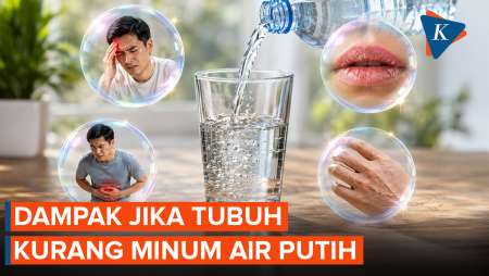 Apa Dampak jika Tubuh Kurang Minum Air Putih Setiap Hari?