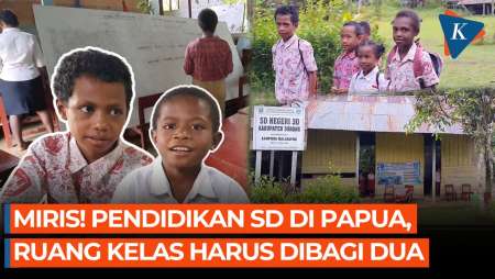 Nestapa Siswa SD Sorong Papua, Belajar di Ruang Kelas yang Terbagi Dua