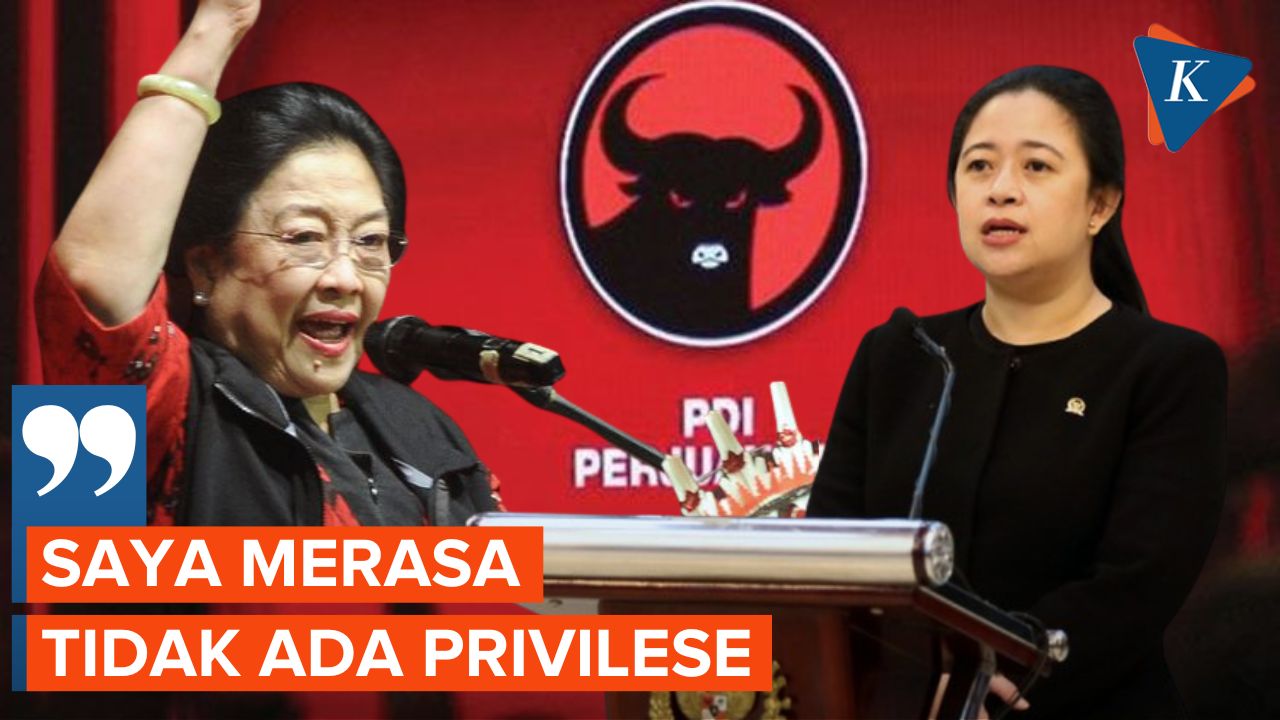 Mengaku Tak Dapat Privilese Jadi Putri Megawati, Puan Tidak Pernah Minta Jabatan
