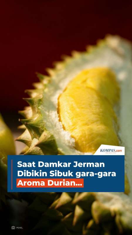 Saat Damkar Jerman Dibikin Sibuk Gara-gara Aroma Durian...