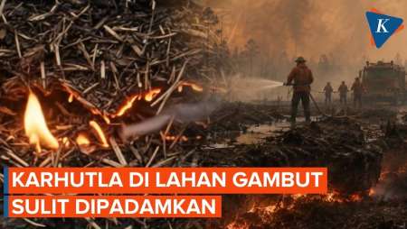 Karhutla Terus Menyala, Mengapa Api Sulit Dipadamkan?