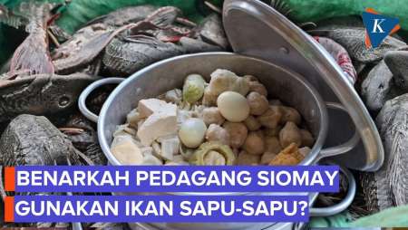 Pengakuan Pedagang Siomay Soal Isu Ikan Sapu-Sapu Jadi Bahan Baku