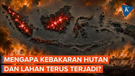 Karhutla Terjadi Tiap Tahun, Mengapa Kebakaran Hutan Masih Terus Berulang?