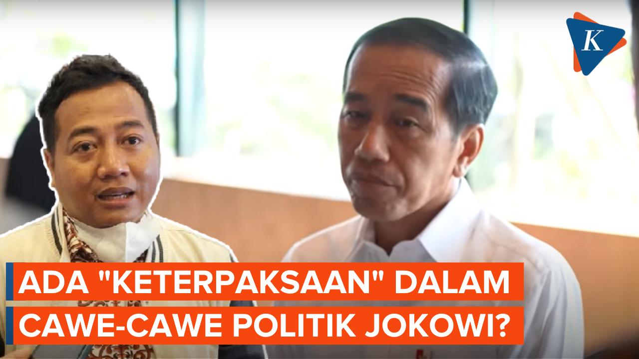 Tak Memiliki Kekuasaan di Partai Bikin Jokowi “Terpaksa” Ikut Cawe-cawe Politik?