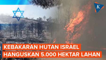 Berapa Luas Kebakaran di Israel sampai Harus Dipadamkan dengan Pesawat Pemadam?