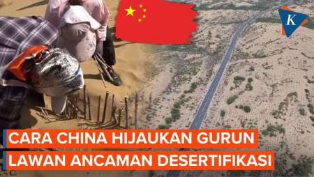 Potret Gurun China Kini Menghijau Berkat Program “Great Green Wall”