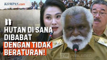 Trio Kepala Daerah "Timur" Luapkan Kritik Soal Hutan, Soroti Pusat Kelola Berantakan Demi PSN