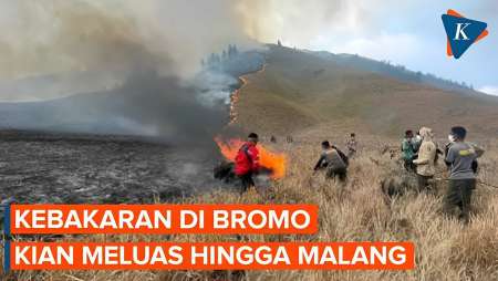 Kebakaran Bromo Meluas ke Kabupaten Malang dan Pasuruan