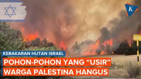 Kebakaran Israel Ludeskan Pohon-pohon yang 
