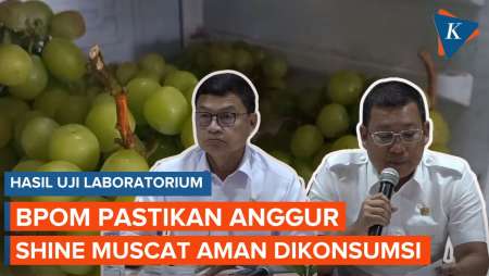 BPOM: Anggur Muscat Aman Dikonsumsi 