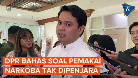 DPR Bahas Lagi soal Pemakai Narkoba Tak Dipenjara