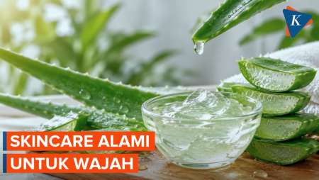 Manfaat Lidah Buaya untuk Kulit Wajah