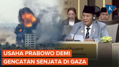 Diplomasi Prabowo demi Gencatan Senjata Permanen di Gaza