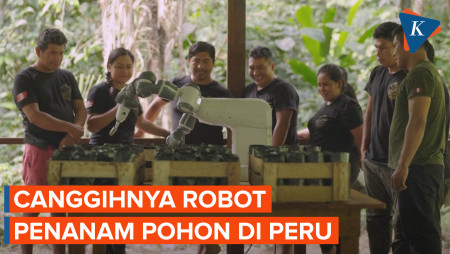 Melihat Robot Penanam Benih Pohon yang Bantu Pulihkan Hutan Amazon