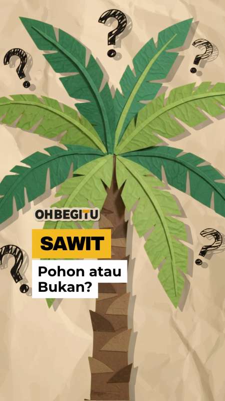 Kelapa Sawit Itu Pohon atau Bukan Sih?