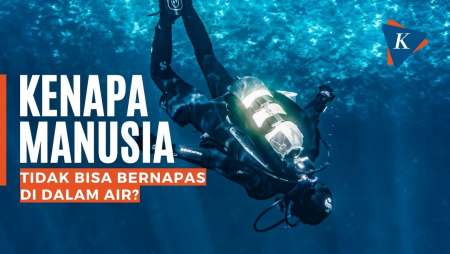 Kenapa Manusia Tidak Bisa Bernapas di Dalam Air?