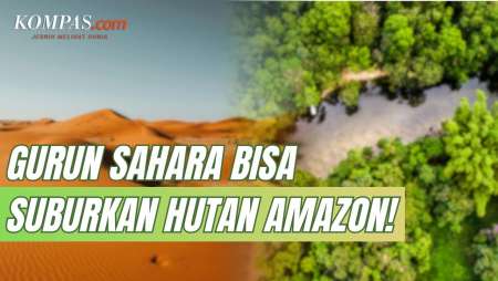 Gurun Sahara Afrika Bisa Suburkan Hutan Amazon, Kok Bisa?