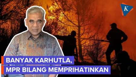 Ketua MPR Prihatin Karhutla Di Kalimantan-Sumatera Meluas, Puji Kinerja Pemerintah Di Medan Berat
