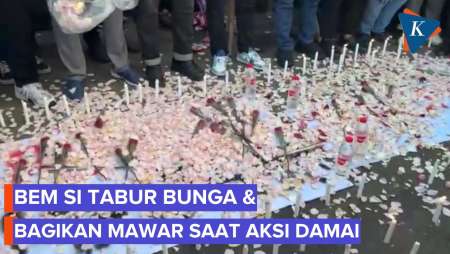 BEM SI Tabur Bunga dan Bagikan Mawar dalam Aksi Damai di DPR