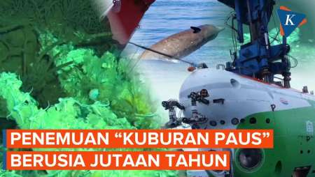 Kawasan "Kuburan Paus" Berusia 5,3 Juta Tahun Ditemukan di Samudra Hindia