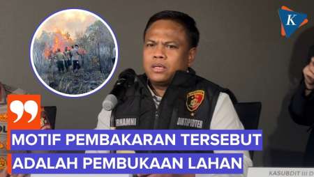 Polisi Sebut Motif Pembakaran Hutan Untuk Buka Lahan Sawit