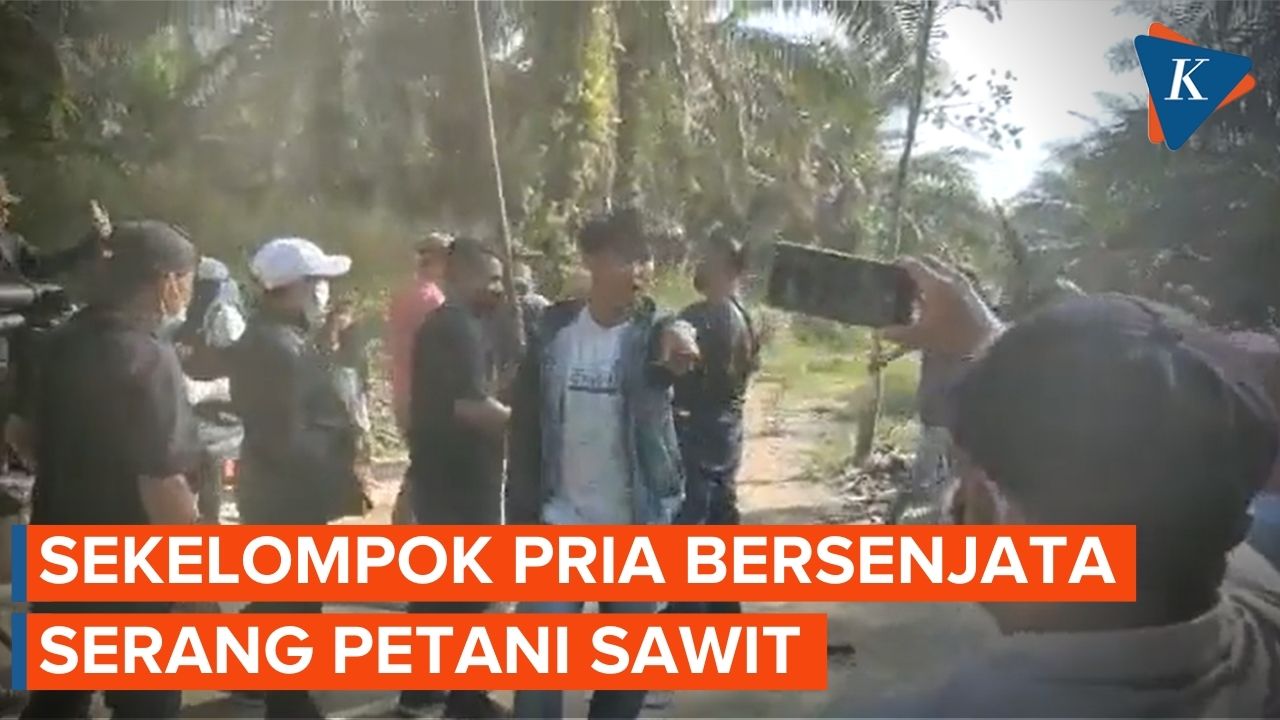 Detik-detik Petani Sawit di Riau Diserang Sekelompok Pria Bersenjata