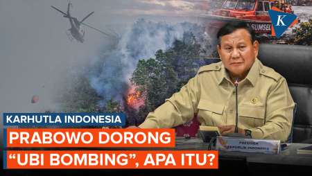 Tangani Karhulta, Prabowo Soroti "Ubi Bombing", Cara Alternatif Selain Water Bombing?