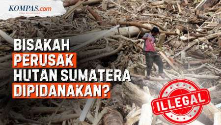Kayu Gelondongan Di Banjir Sumatera: Bukti Awal Kejahatan Hutan!