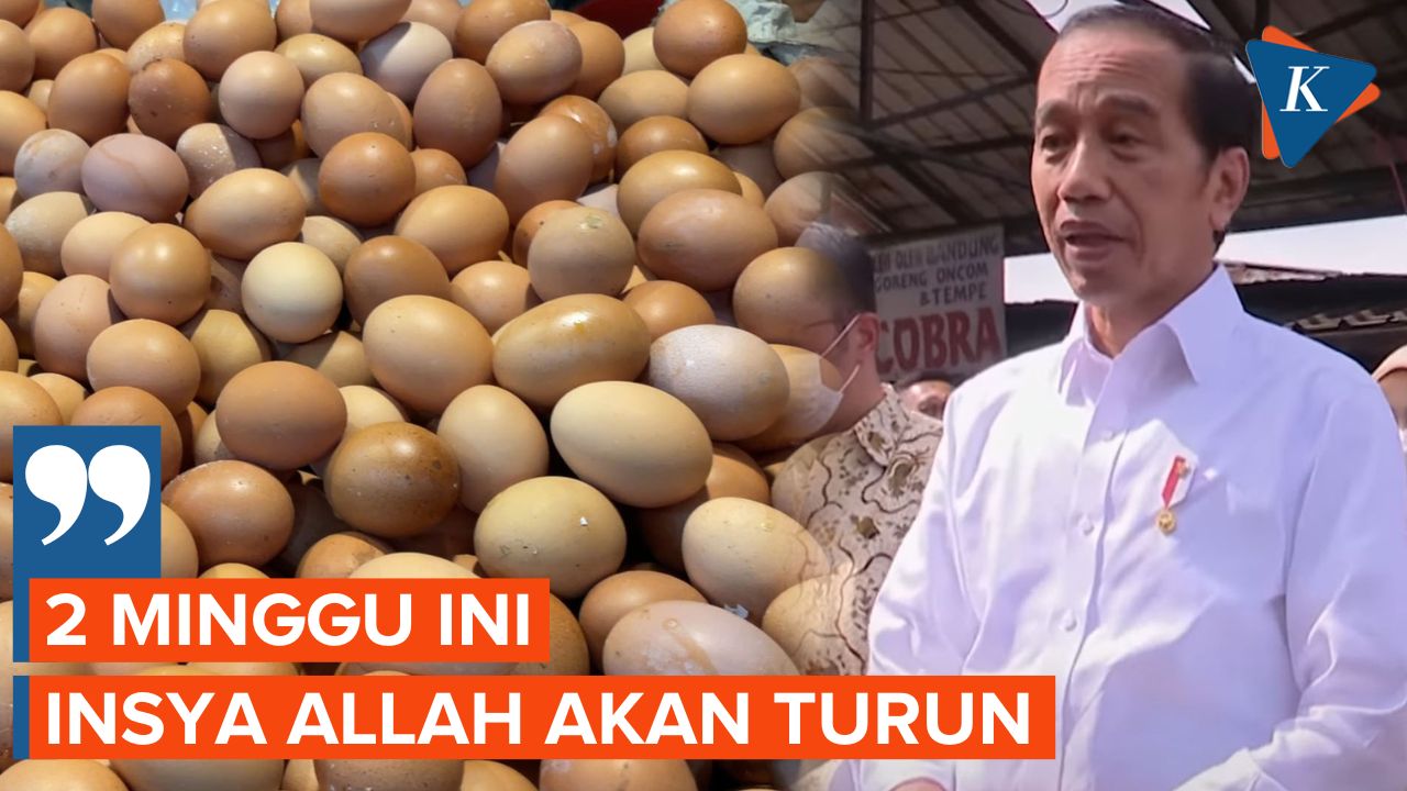 Kata Jokowi soal Harga Telur yang Naik Drastis