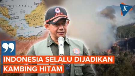 Malaysia Protes Asap Karhutla Riau, BNPB dan BMKG Kompak Klaim Bukan dari Indonesia
