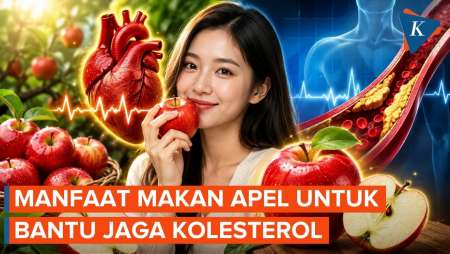 Manfaat Buah Apel Untuk Kontrol Kadar Kolesterol
