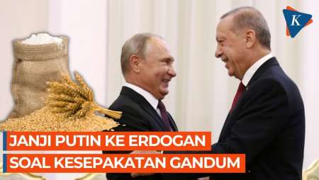 Janji Putin ke Erdogan soal Kesepakatan Ekspor Gandum