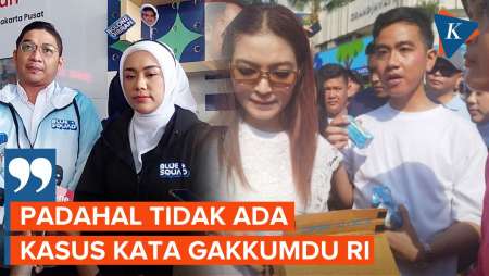 PAN Bingung Aksi Gibran Bagi-bagi Susu di CFD Masih Dipermasalahkan Bawaslu DKI